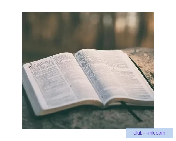 落叶归根拉拉纳重返南安普顿再披圣徒战袍续写青春荣耀传奇新章启